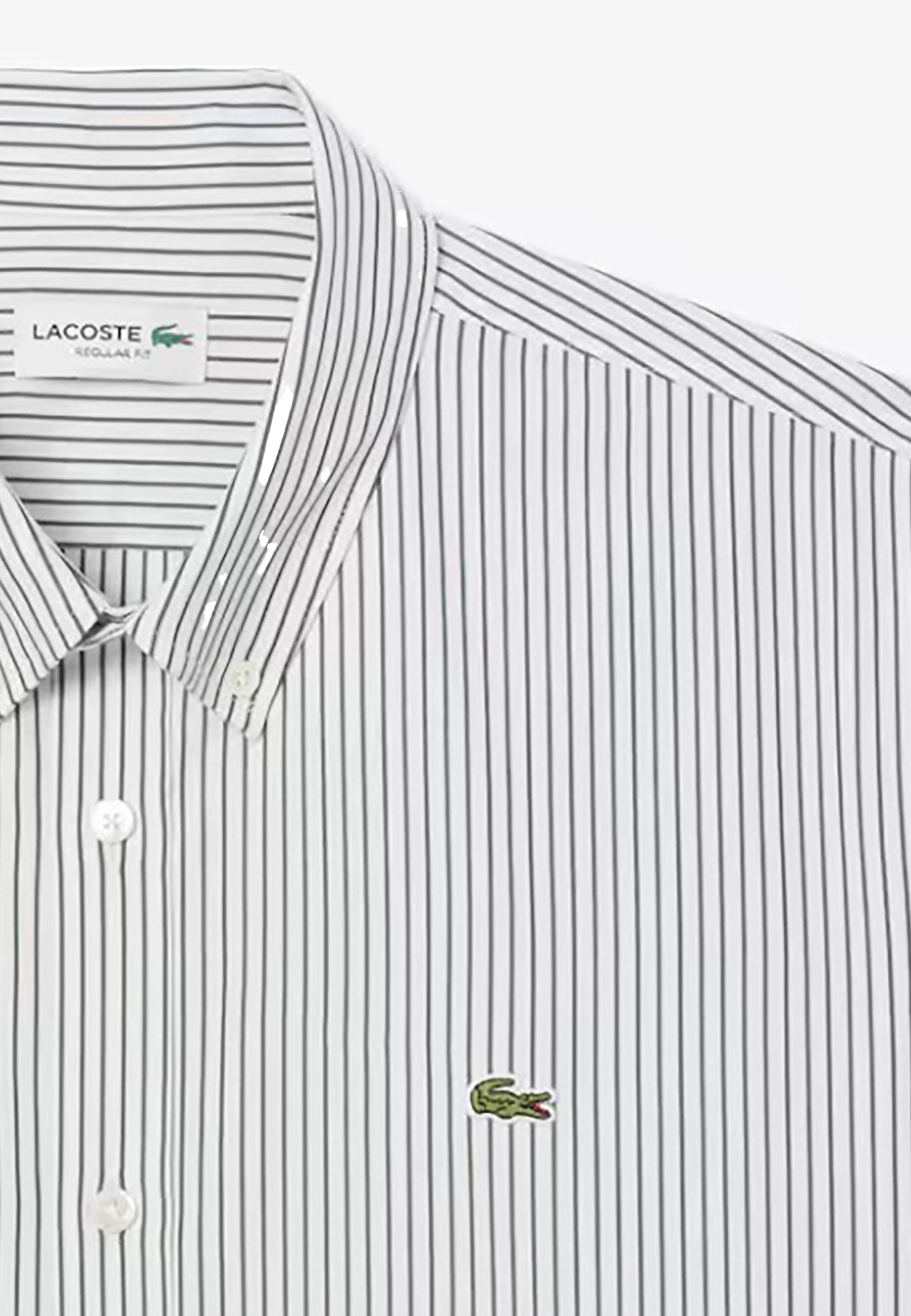 LACOSTE CAMICIA REGULAR FIT A RIGHE PINPOINT_737