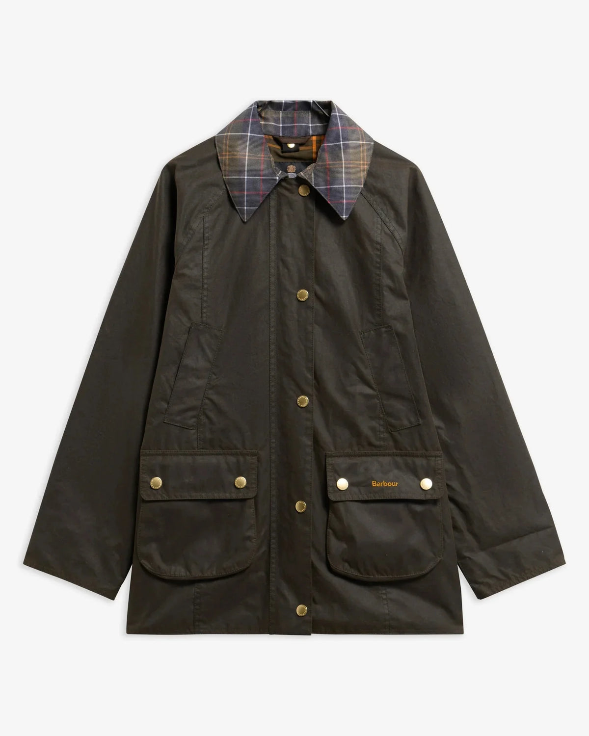 BARBOUR_LWX1582_OL71_OLIVE/CLASSIC