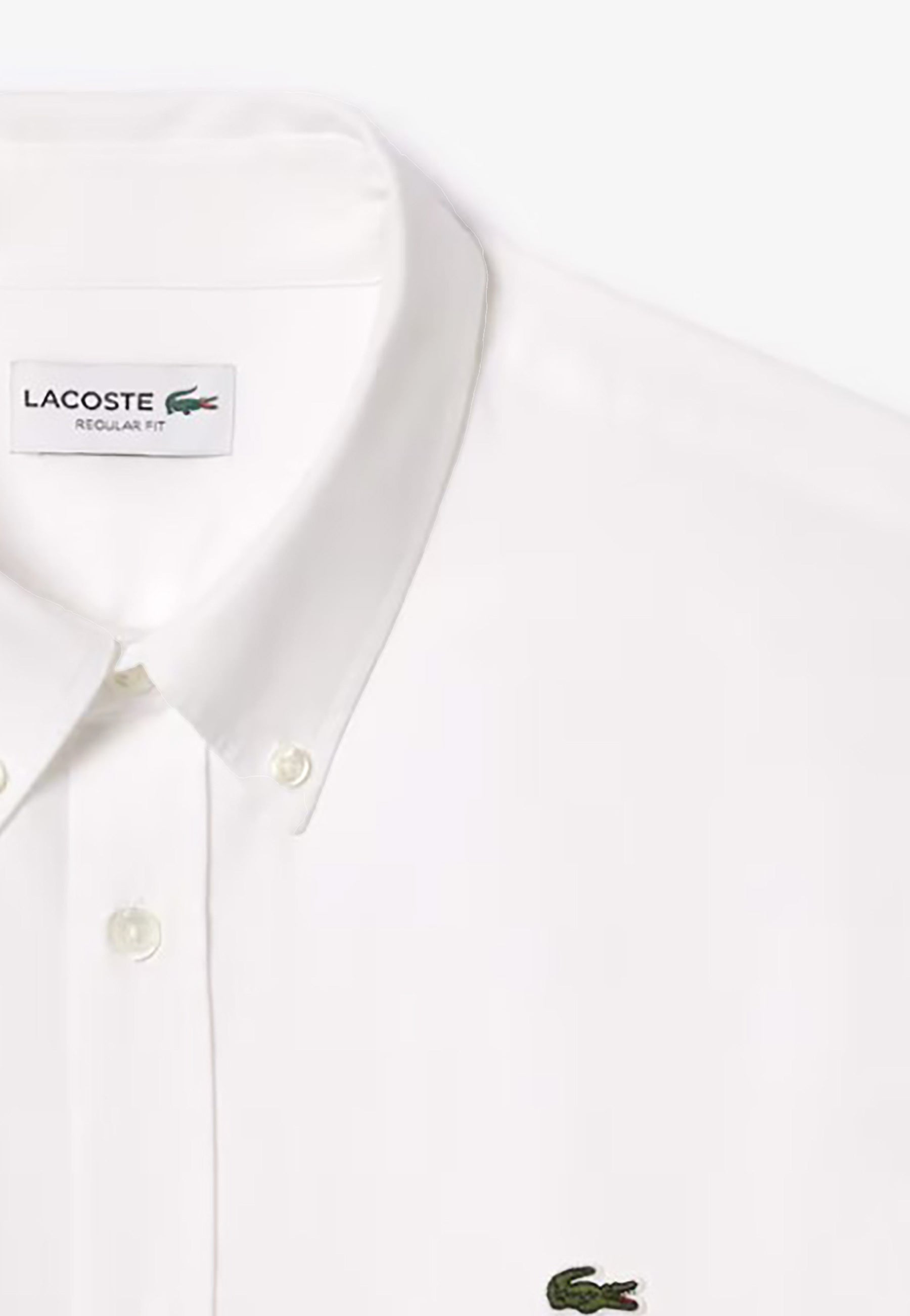 LACOSTE CAMICIA IN COTONE PREMIUM REGULAR FIT_001