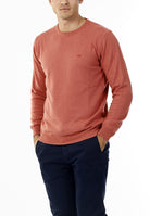 MAGLIONE GIROCOLLO MISTO CASHMERE RASATO_ARAGOSTA